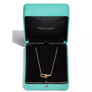 Tiffany & Co. HardWear Small Double Link Pendant Necklace in Gold